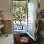 Conchiglia Blu Di Pietra *
