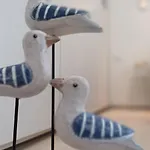 Conchiglia Blu Di Pietra Pietra Ligure