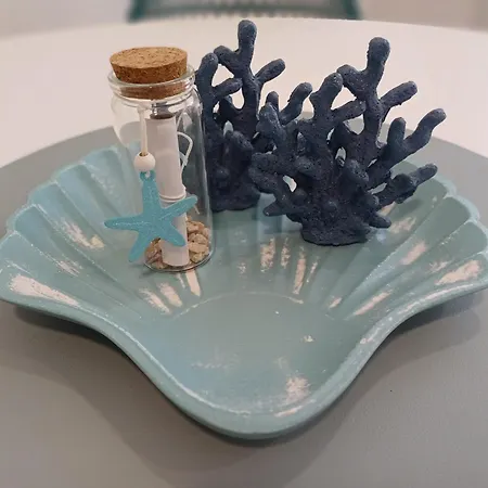 Daire Conchiglia Blu Di Pietra *