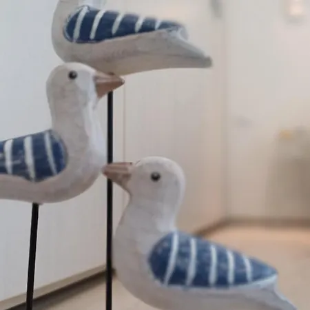 Conchiglia Blu Di Pietra Pietra Ligure