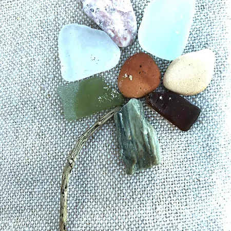 Conchiglia Blu Di Pietra * Pietra Ligure