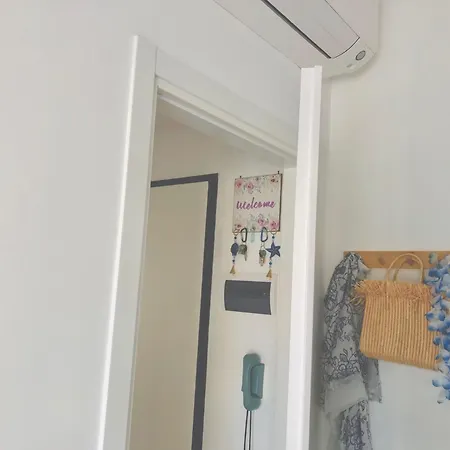 Conchiglia Blu Di Pietra * Pietra Ligure